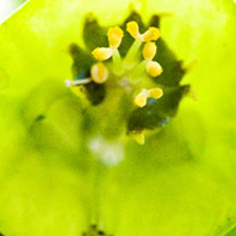 ddos压力在线测试平台