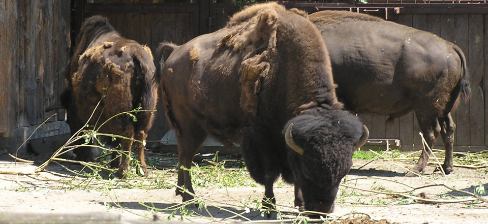怎么去攻击一个网站与防护