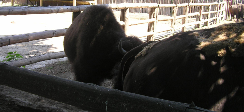 网络ddos监测分析工具